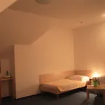 Family Maxim 3* Beroun