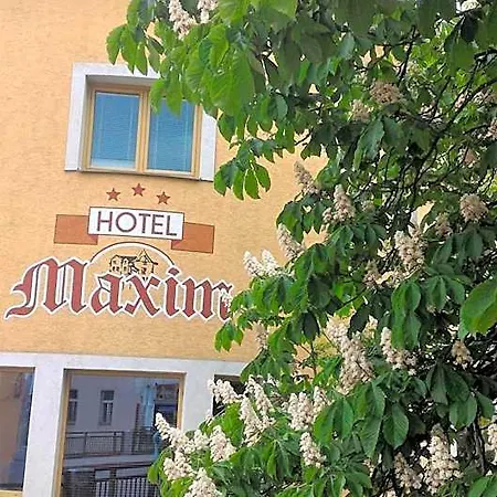 Family Maxim Hotel